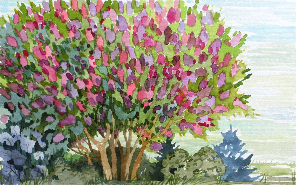 Sommerabend, 35 x 57 cm (Papierformat 50 x 70 cm, Papier Hahnemühle 450 g/m2), Aquarell, 2025