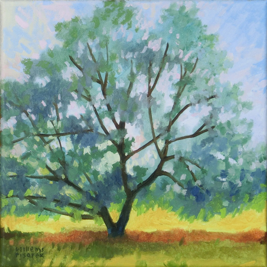 Fliegen lernen, 30 x 30 cm, Öl mit Wachs, 2026